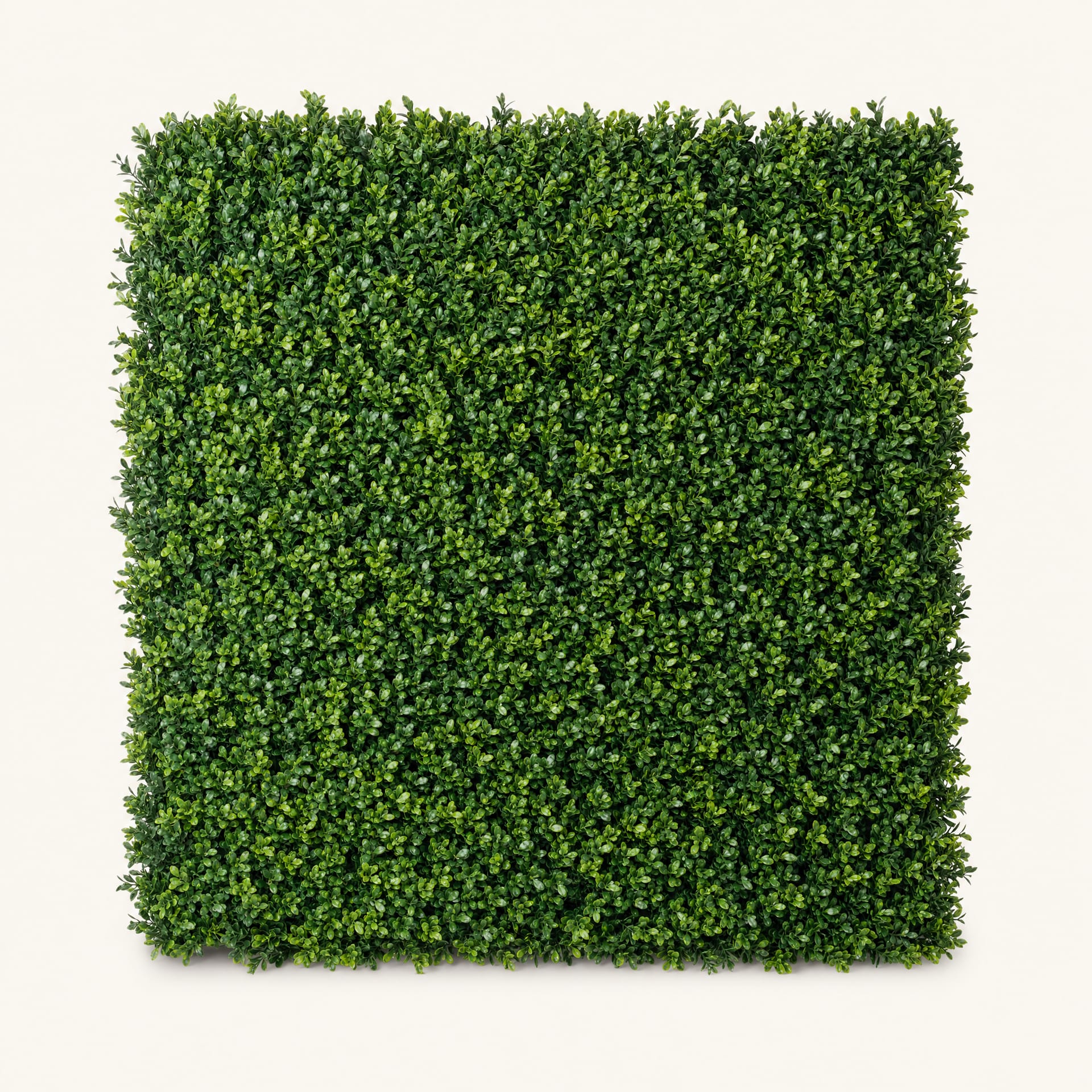 Boxwood artificial green wall panel, front view