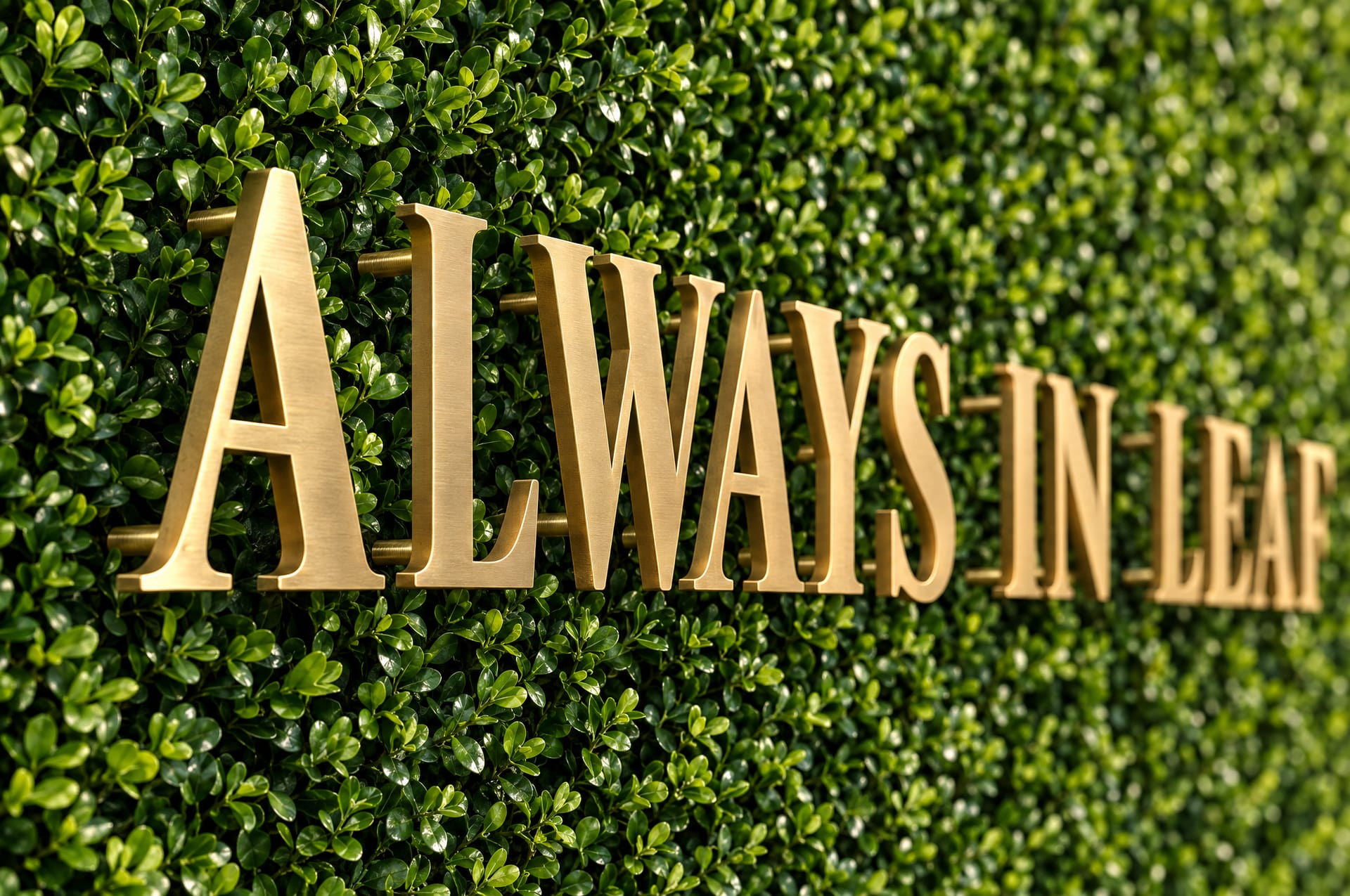 Brushed brass letters reading Always in leaf, held off a boxwood wall on brass stand-off rods